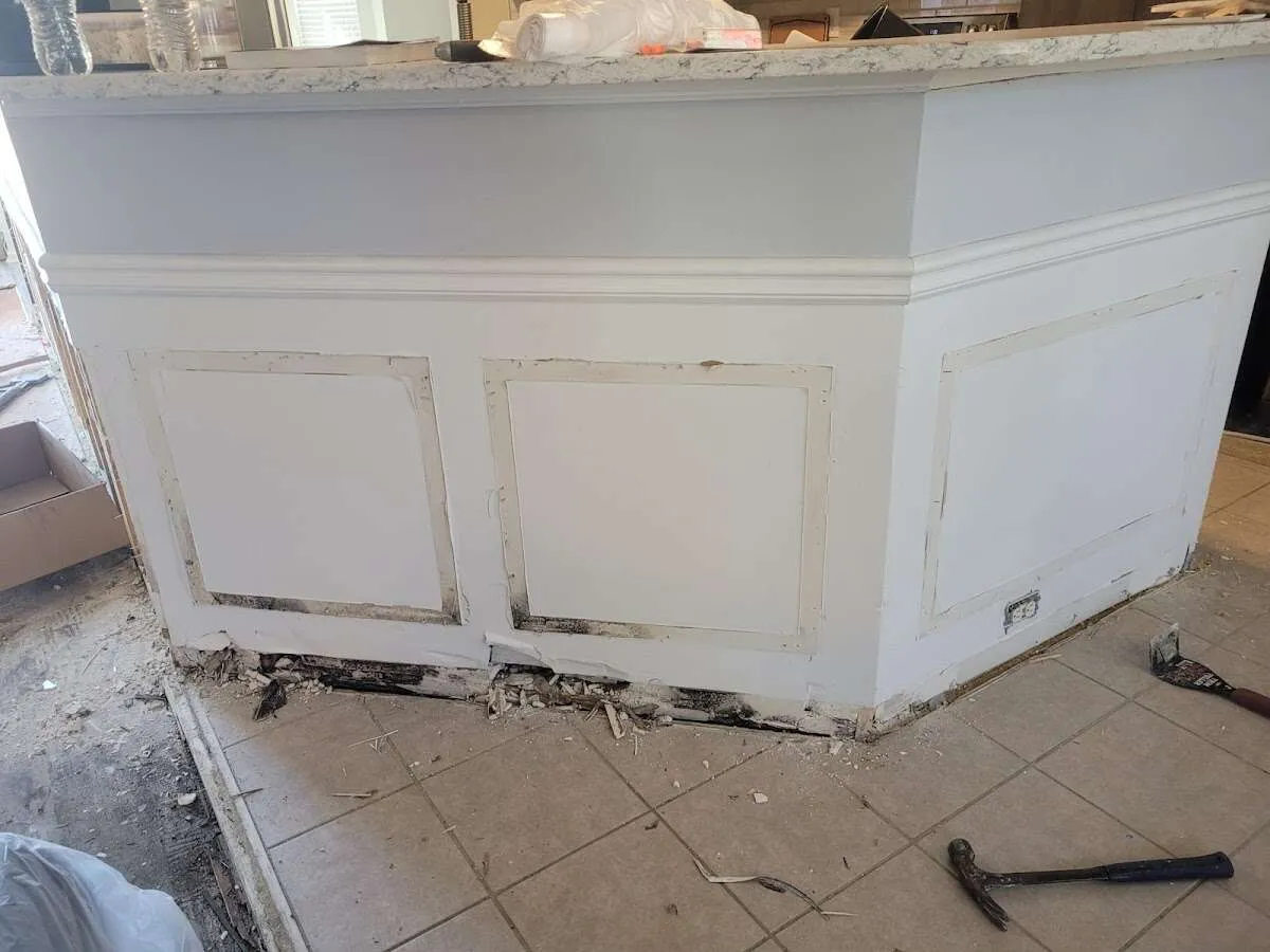 Water damage and mold on kitchen during Sewage Cleanup & Sanitation in Newark